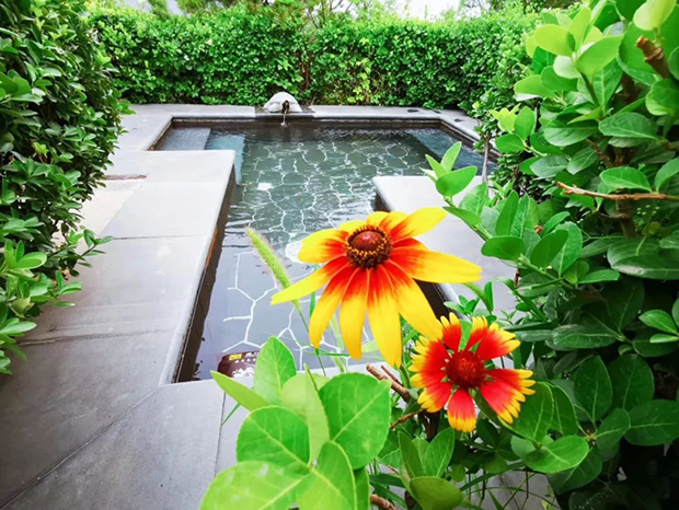 image028.jpg image028.jpg