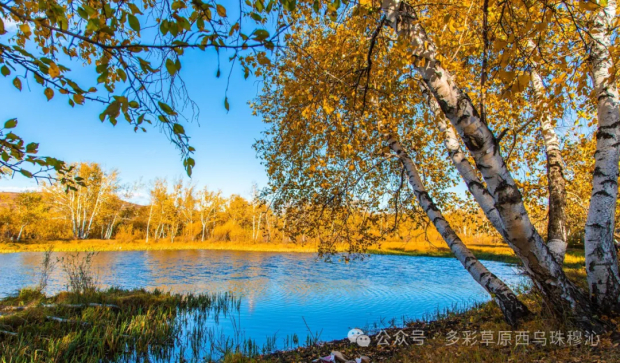 640 (13).jpg 640 (13).jpg